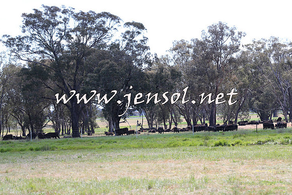 IllaboCampdraft2014_0427