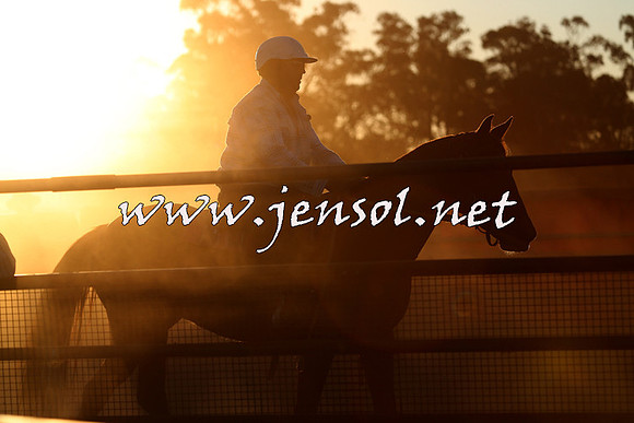 IllaboCampdraft2014_1650