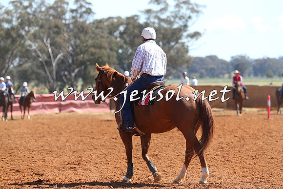 IllaboCampdraft2014_0255