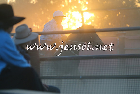 IllaboCampdraft2014_1689
