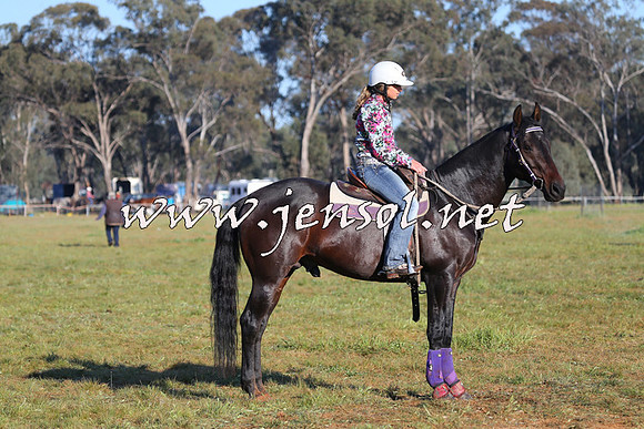 IllaboCampdraft2014_1066