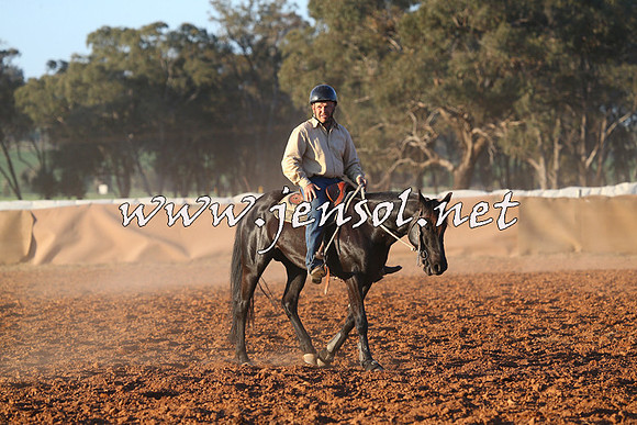 IllaboCampdraft2014_1585