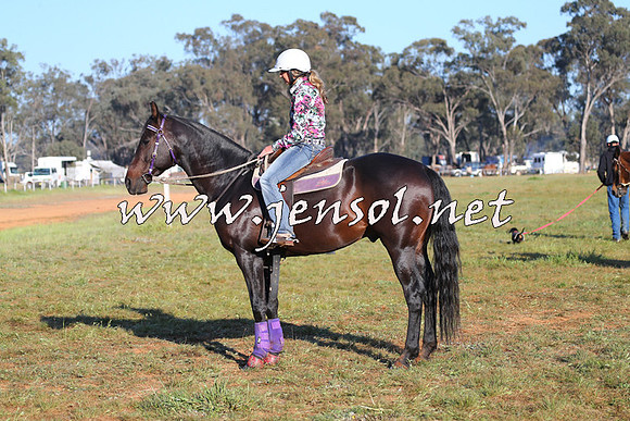 IllaboCampdraft2014_1033