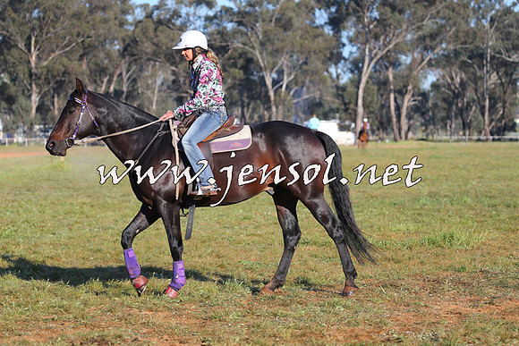 IllaboCampdraft2014_1036