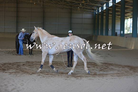 MichelleOWagga_0085