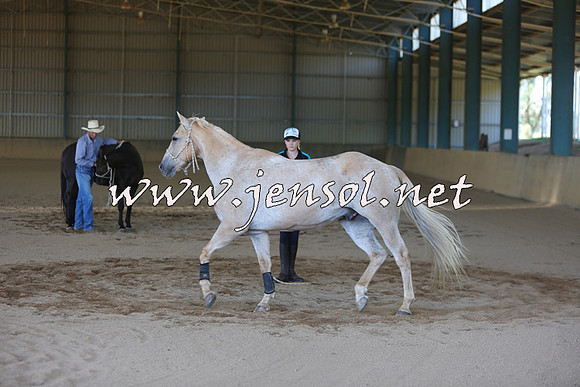 MichelleOWagga_0086