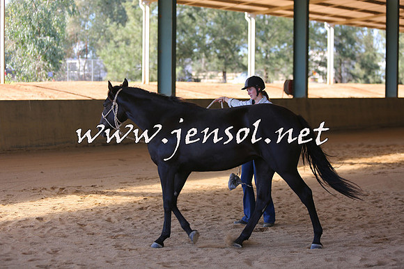 MichelleOWagga_0024
