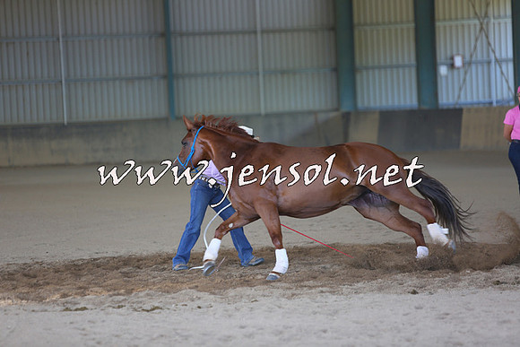MichelleOWagga_0051