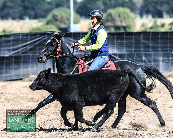 GoulburnCampdraft2019_0959