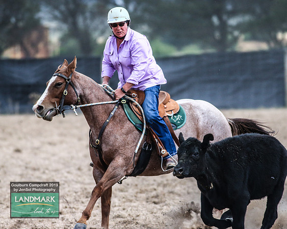 GoulburnCampdraft2019_1204