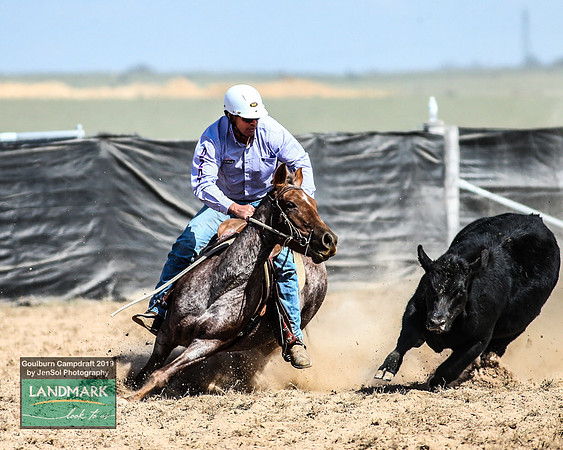 GoulburnCampdraft2019_1375