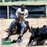 GoulburnCampdraft2019_0853