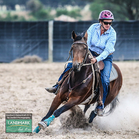GoulburnCampdraft2019_1181