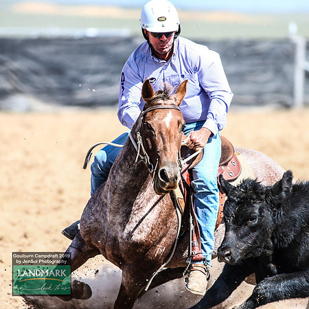 GoulburnCampdraft2019_1359