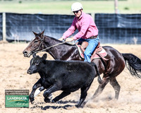 GoulburnCampdraft2019_0562