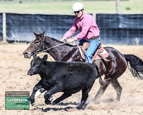 GoulburnCampdraft2019_0562