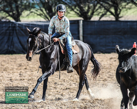 GoulburnCampdraft2019_1629