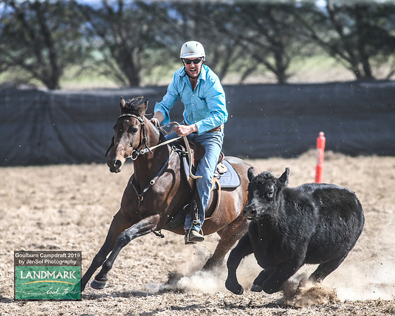 GoulburnCampdraft2019_1642