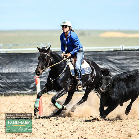 GoulburnCampdraft2019_1340