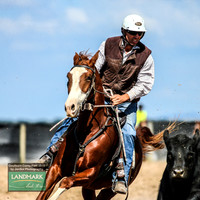 GoulburnCampdraft2019_0881