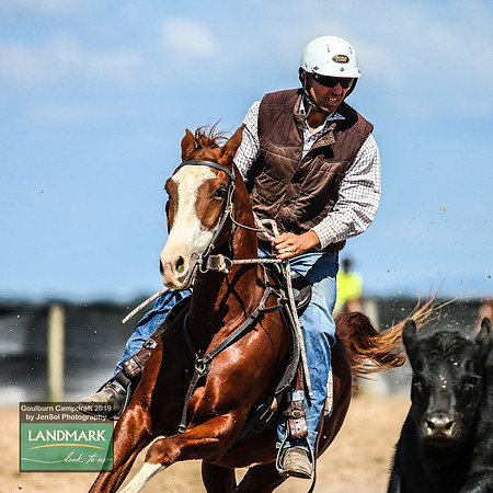 GoulburnCampdraft2019_0881
