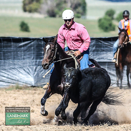 GoulburnCampdraft2019_0580