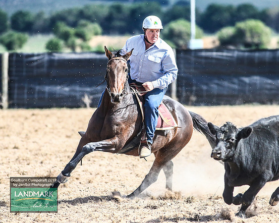 GoulburnCampdraft2019_1427