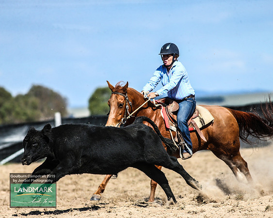 GoulburnCampdraft2019_0929