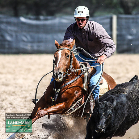 GoulburnCampdraft2019_0992