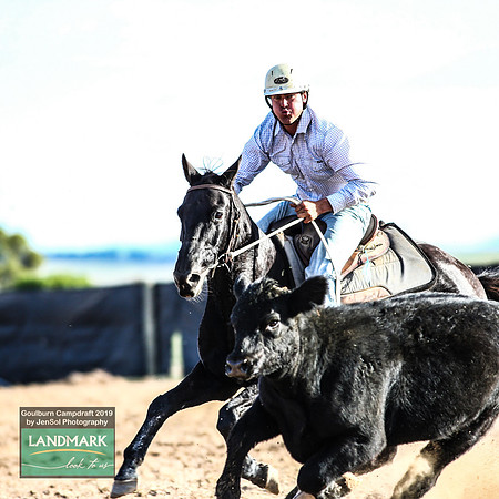 GoulburnCampdraft2019_2093