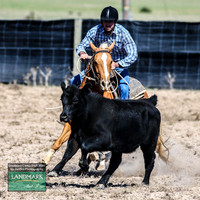GoulburnCampdraft2019_0642