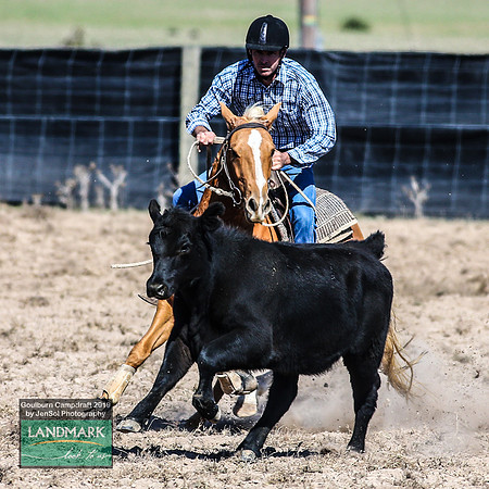 GoulburnCampdraft2019_0642
