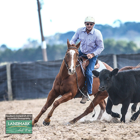 GoulburnCampdraft2019_1785