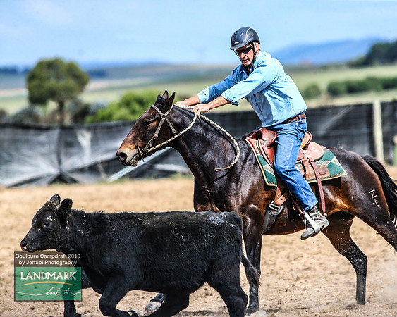 GoulburnCampdraft2019_1066