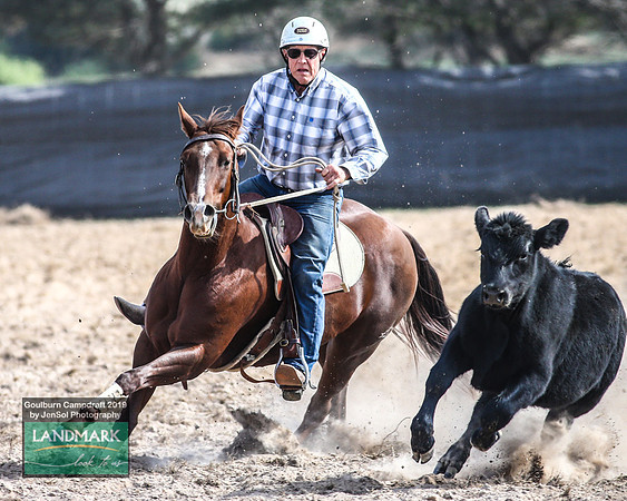 GoulburnCampdraft2019_1662