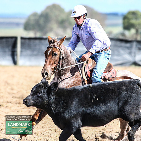 GoulburnCampdraft2019_1347