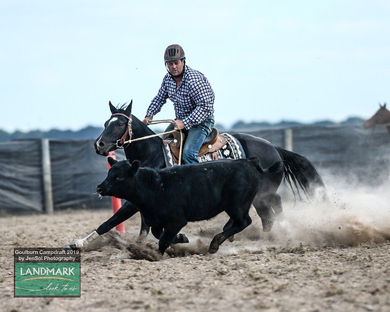 GoulburnCampdraft2019_1742
