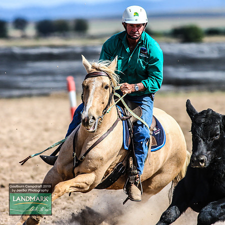 GoulburnCampdraft2019_1609