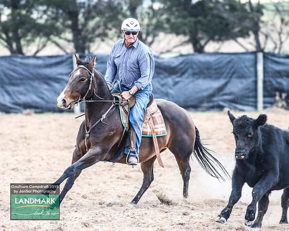 GoulburnCampdraft2019_1293