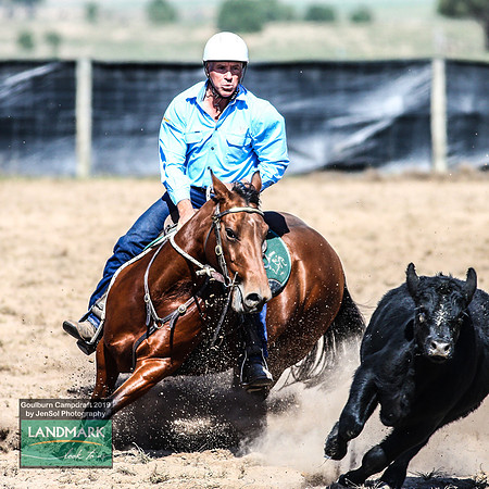 GoulburnCampdraft2019_0592