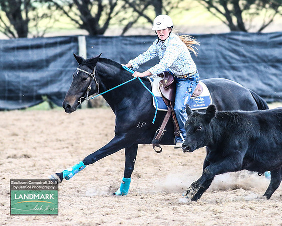 GoulburnCampdraft2019_1325