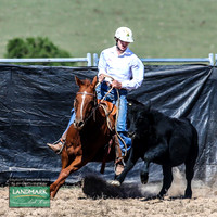 GoulburnCampdraft2019_0836