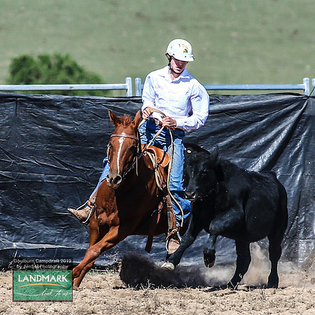 GoulburnCampdraft2019_0836