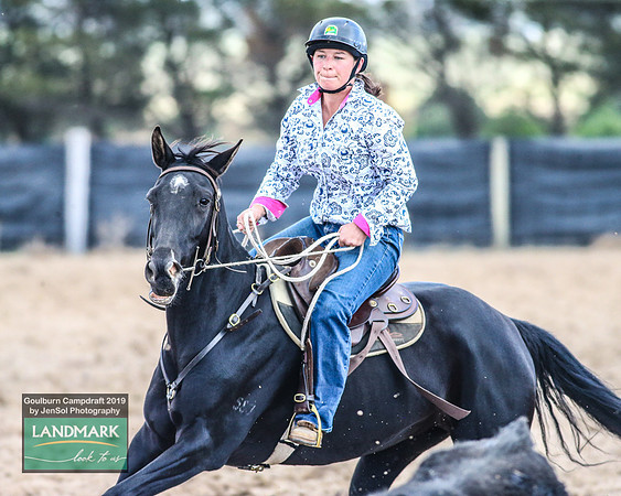 GoulburnCampdraft2019_1301