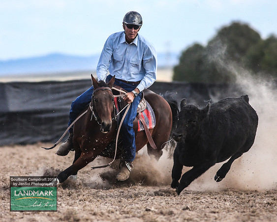 GoulburnCampdraft2019_1724