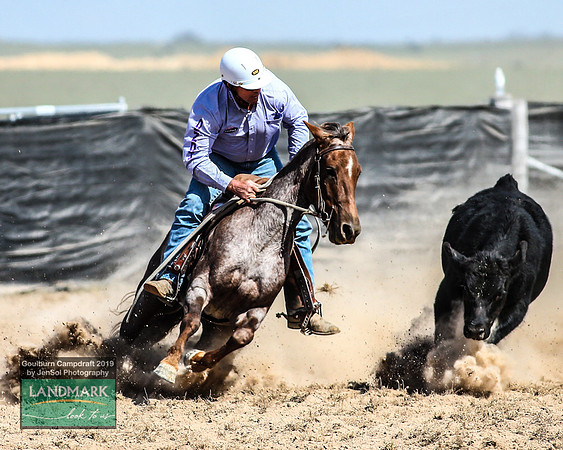 GoulburnCampdraft2019_1376