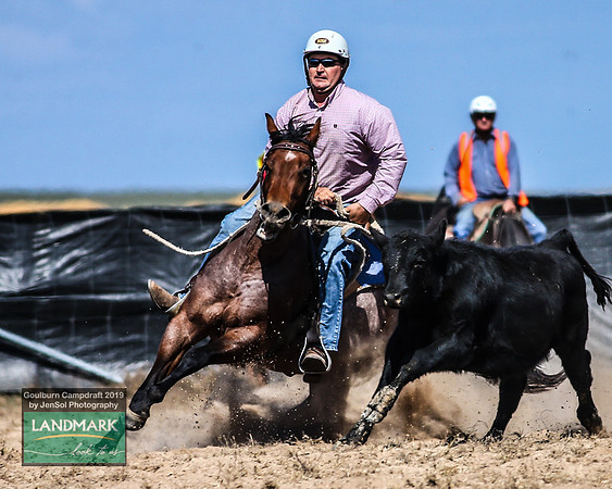 GoulburnCampdraft2019_0917