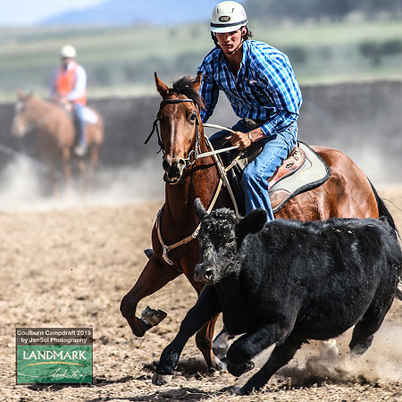 GoulburnCampdraft2019_1687