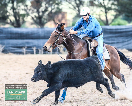 GoulburnCampdraft2019_1303