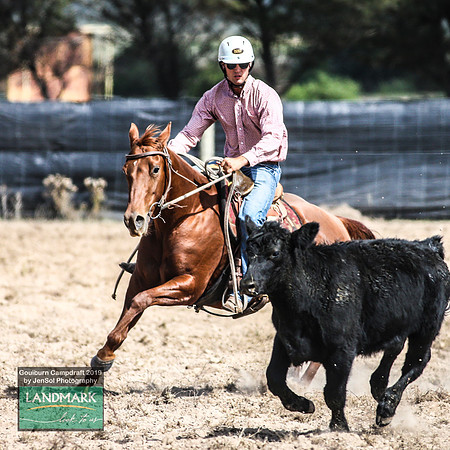 GoulburnCampdraft2019_1027